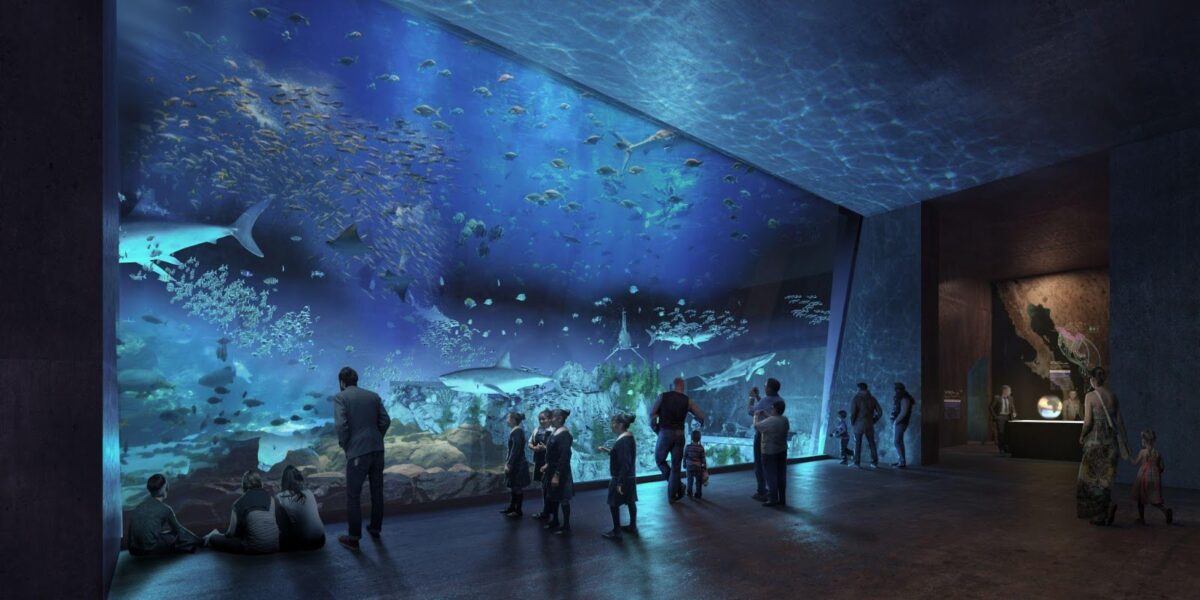 Mazatlan nuevo aquario march 24, 2023