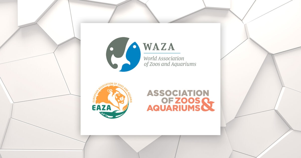 WAZA, AZA & EAZA Accreditation Support | MAT ZOOS