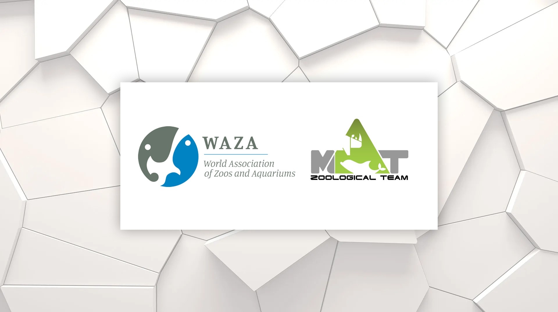 MAT Filtration Technologies Joins the WAZA Community