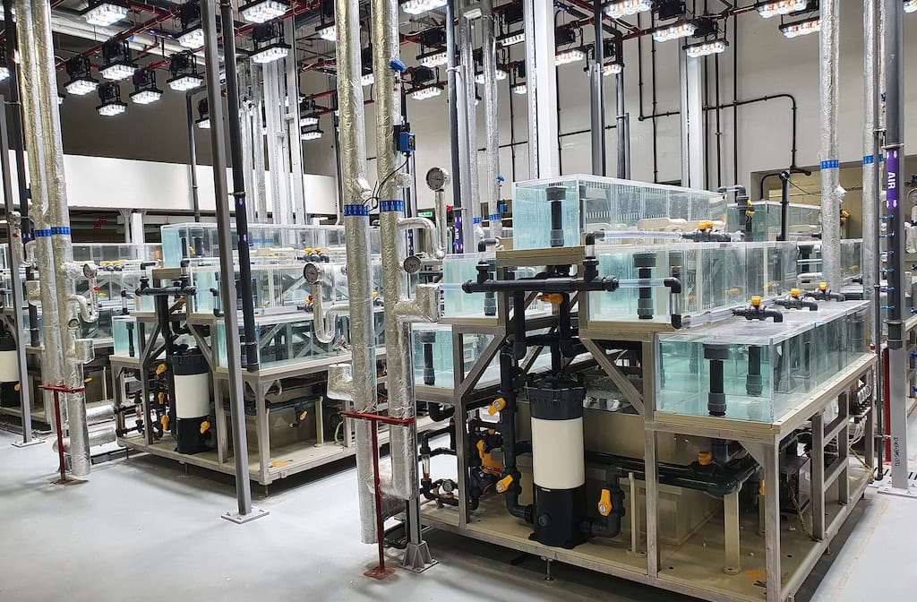 More than exhibits: the vital role of aquariums in conservation july 26, 2025