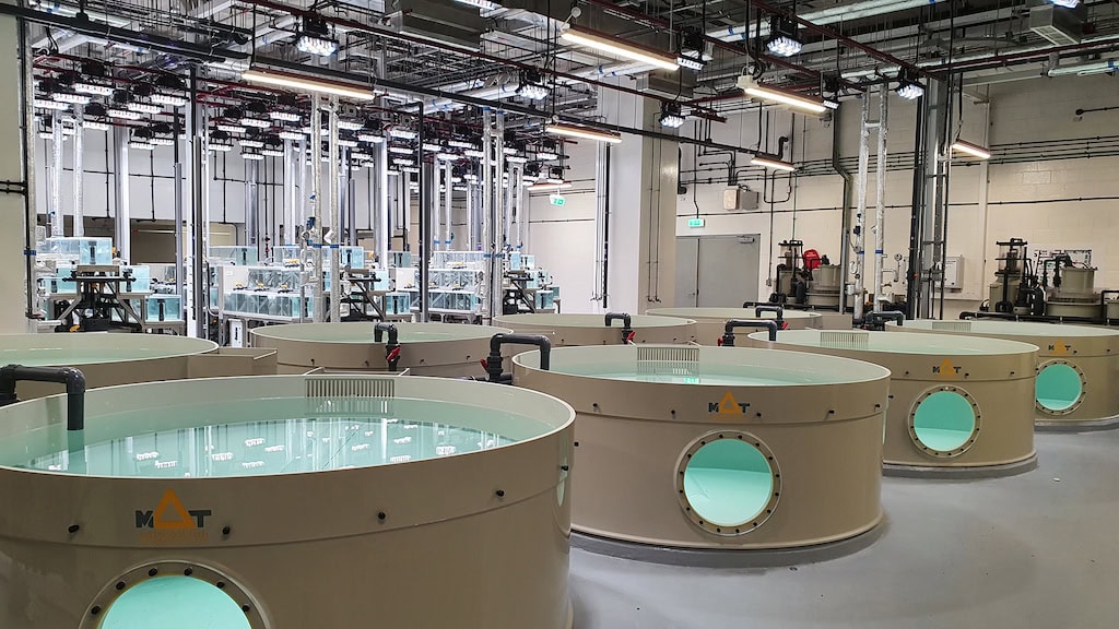 More than exhibits: the vital role of aquariums in conservation july 26, 2025